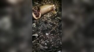 Woman being dismembered