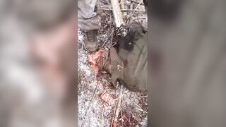 Frontline compilation video