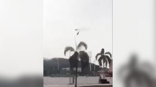 BREAKING NEWS: FAMOUS SINGER OLIVER TREE DIES IN HELICOPTER CRASH!