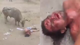 Man Gored, Killed By Bull During Event In Colombia