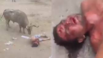 Man Gored, Killed By Bull During Event In Colombia