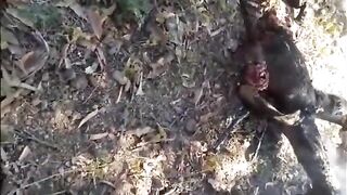 Charred, decapitated, castrated and dismembered