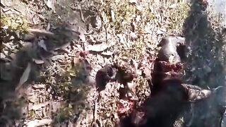 Charred, decapitated, castrated and dismembered