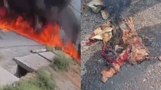 Pakistani Training Aircraft Crashes Killing Both Pilots