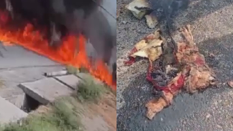 Pakistani Training Aircraft Crashes Killing Both Pilots