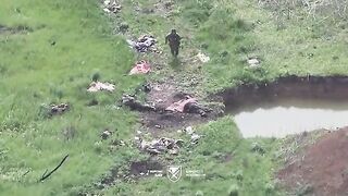 Bullying of Russians and their deaths, a collection of videos