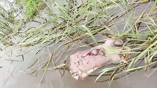 Man's torso, dismembered, floating in the river