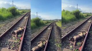 Man killed by train Indonesia