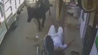Elderly Man Seriously Injured Following Stray Bull Attack