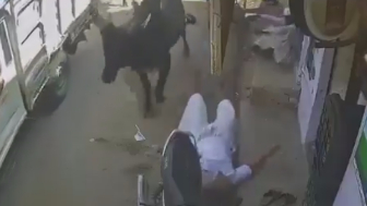 Elderly Man Seriously Injured Following Stray Bull Attack