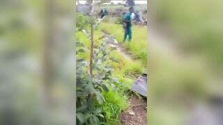 Nigerian Army Helicopter Downed   By Boko Haram, Crew Killed
