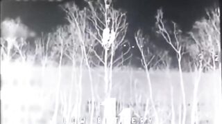 Russian retards hide in a tree.