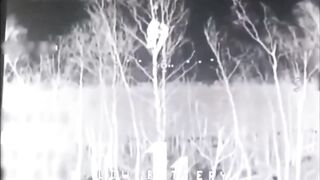 Russian retards hide in a tree.