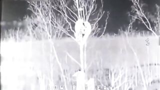 Russian retards hide in a tree.