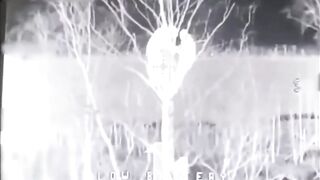 Russian retards hide in a tree.