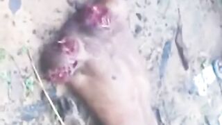 Head, torso, and limbs of a male corpse
