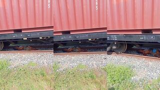 Man dies in Indonesia hit by train