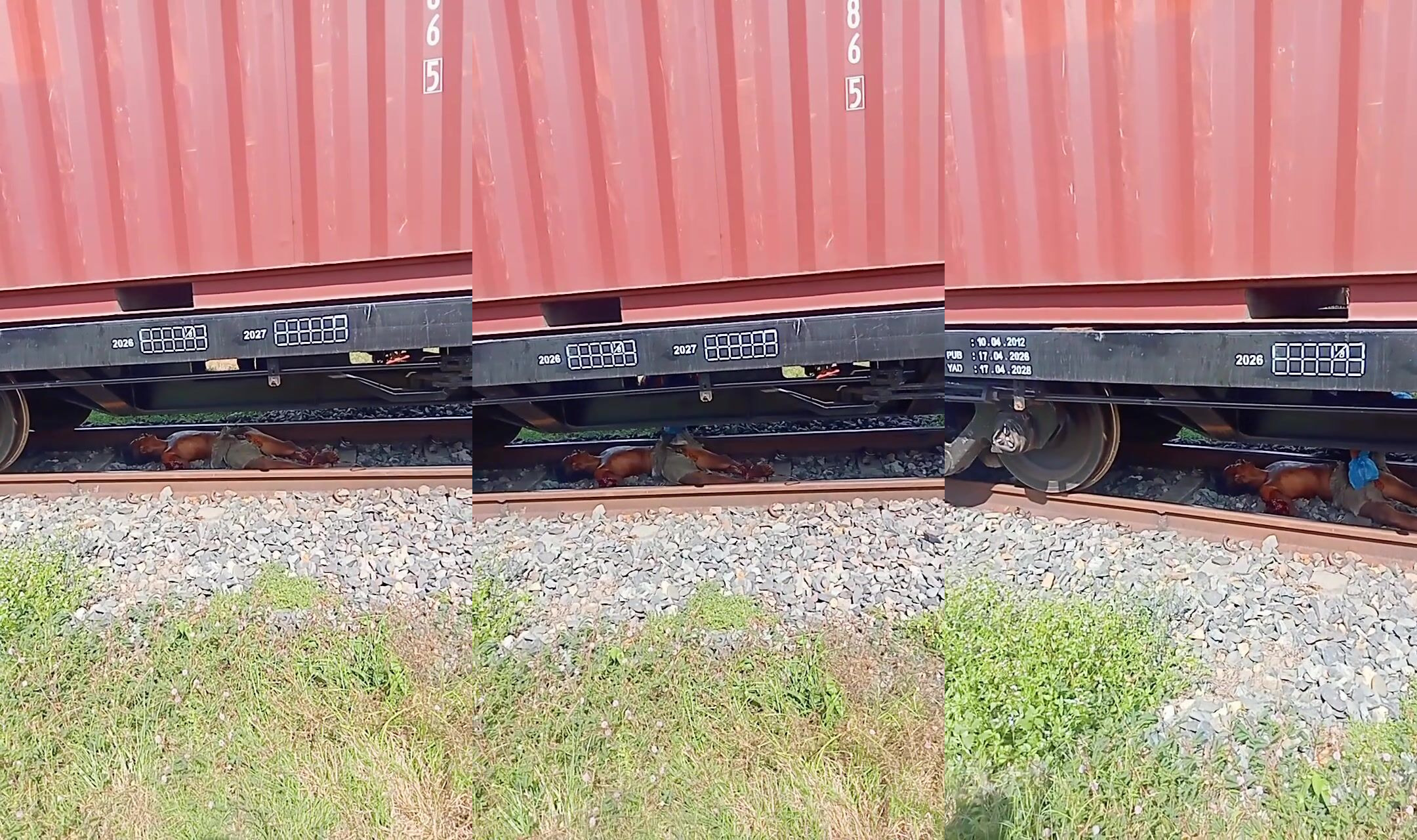 Man dies in Indonesia hit by train