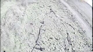 Dozens dead Russhits by WORMBUSTERS.