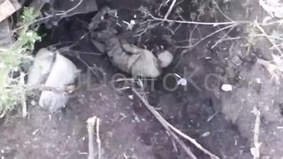 Friendly drones end the suffering of a Ukrat.