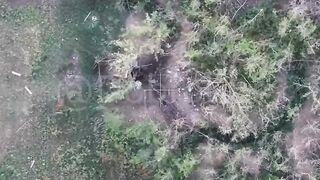 Friendly drones end the suffering of a Ukrat.