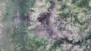 Friendly drones end the suffering of a Ukrat.