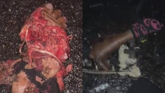 Three Killed In Collsion Between Trucks On Brazilian Highway