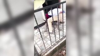 Woman Scalped During Pitbull Attack In Nicaragua