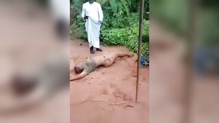 Young Nurse Murdered At Home In Nigeria