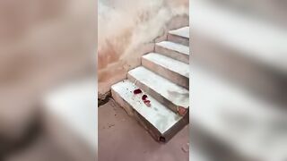 Young Nurse Murdered At Home In Nigeria