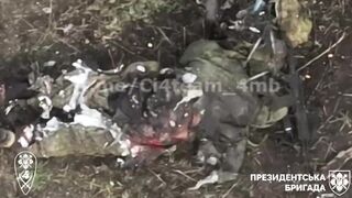 Global Whore | That Russia Posthumous Fertilizer | Vaporized Russians Compilation 22