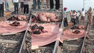 Forbidden lovers jump in front of train