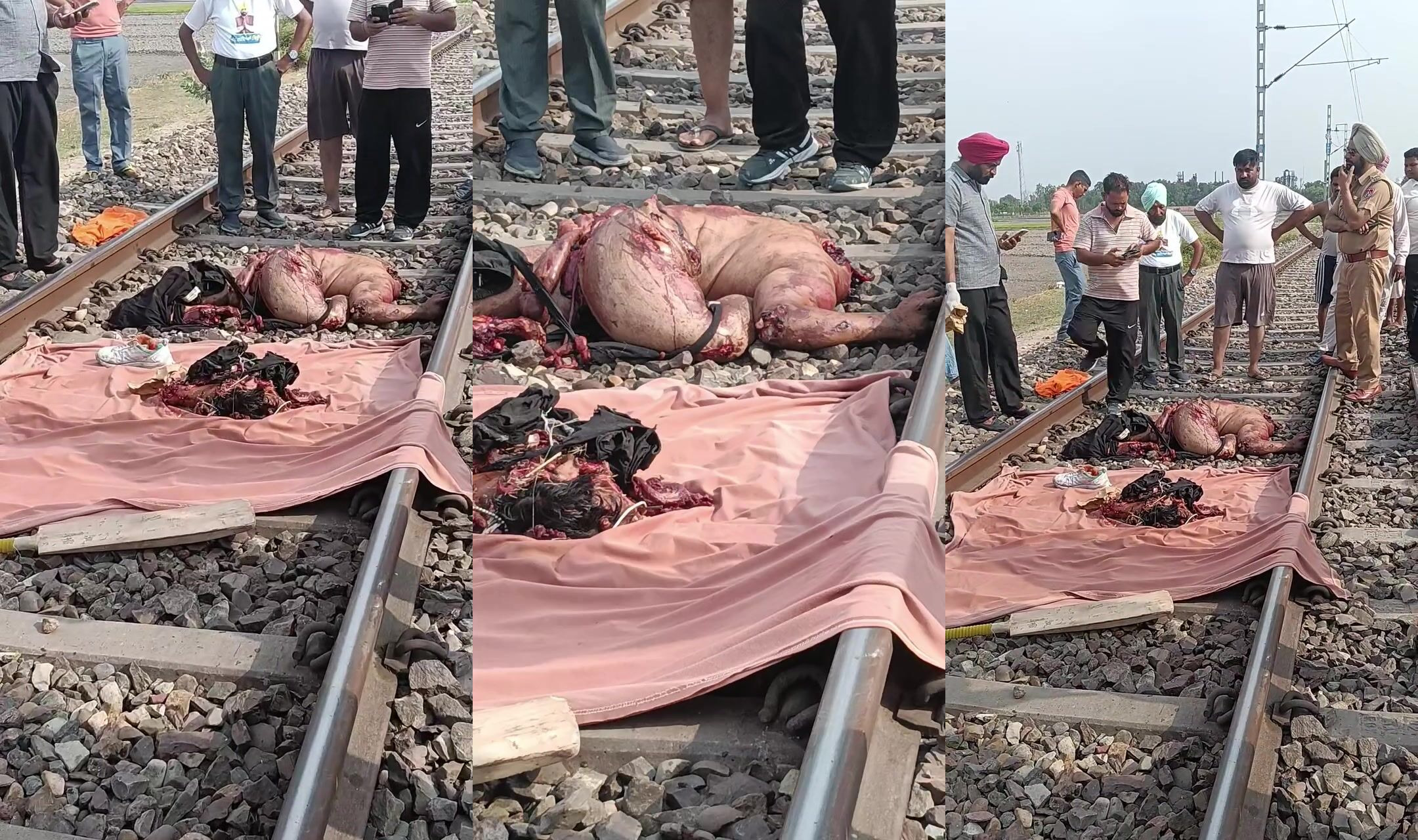 Forbidden lovers jump in front of train