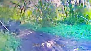 Slaughtering Russians near Pokrovsk.
