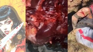Gore Compilation 27