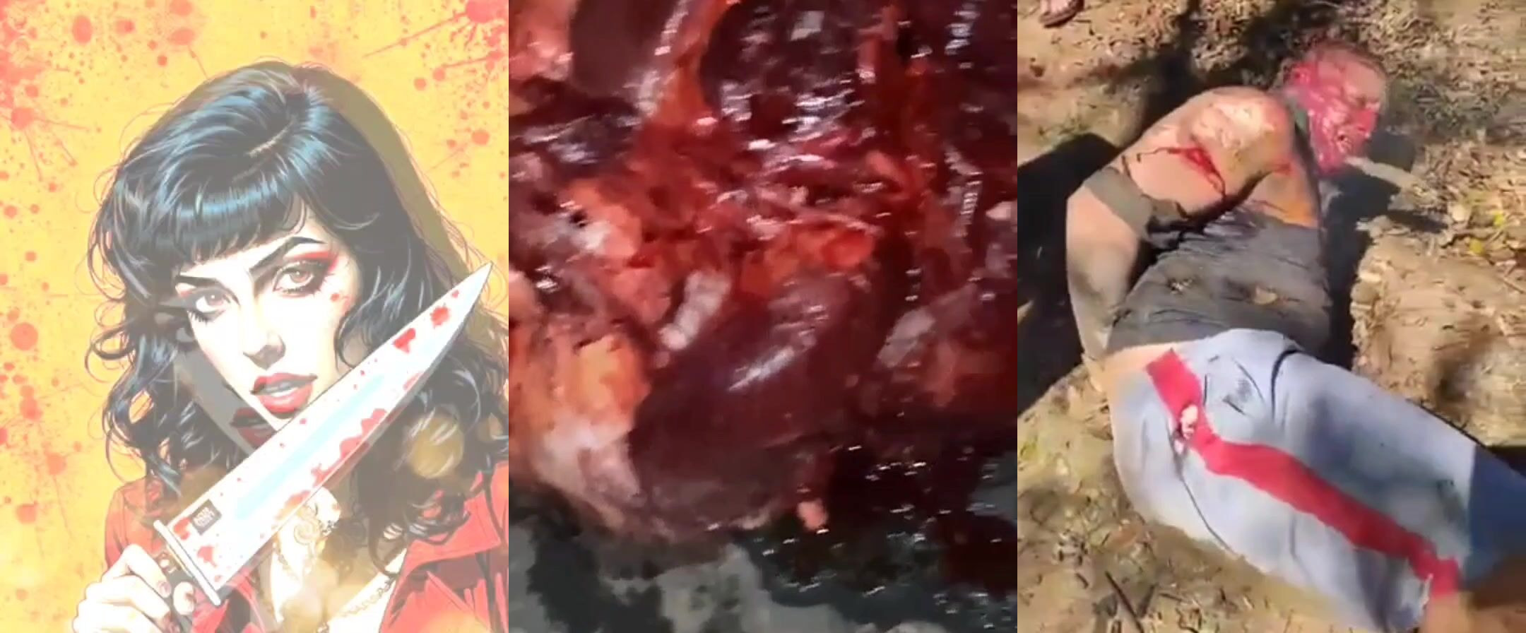 Gore Compilation 27