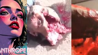 Gore Compilation 28