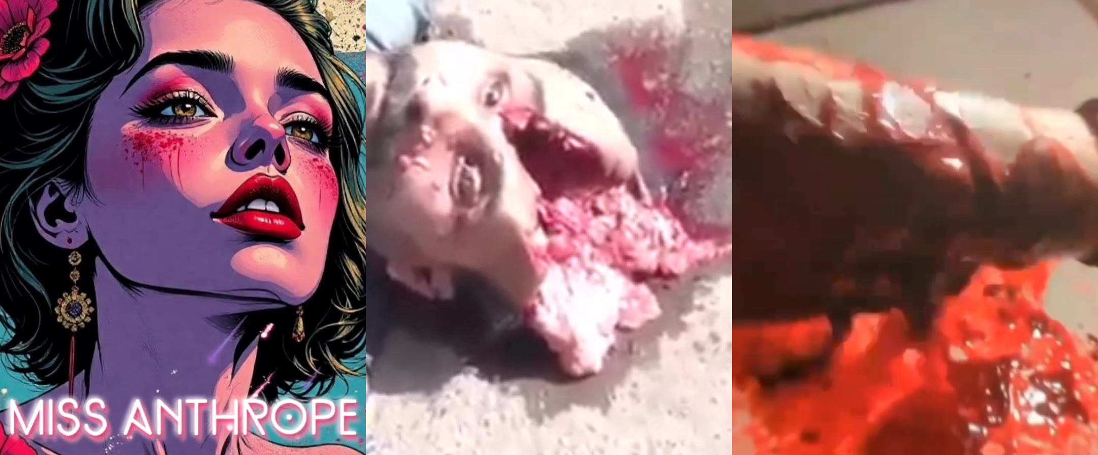 Gore Compilation 28