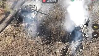 Russian BTR-82 gets shot at point blank. Kursk, Oct 2024