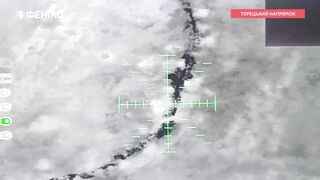Ukraine's Border Guard Service (DPSU) "Fenix" unit (Ten minute compilation)