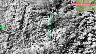 Ukraine's Border Guard Service (DPSU) "Fenix" unit (Ten minute compilation)