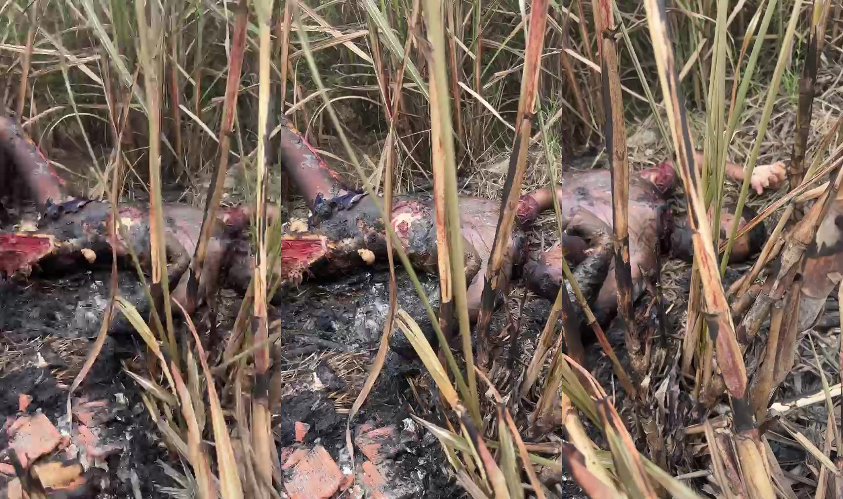 Missing Man Found Burned, Eaten ByAnimals