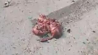 Pakistani Training Aircraft Crashes Killing Both Pilots (another angel)