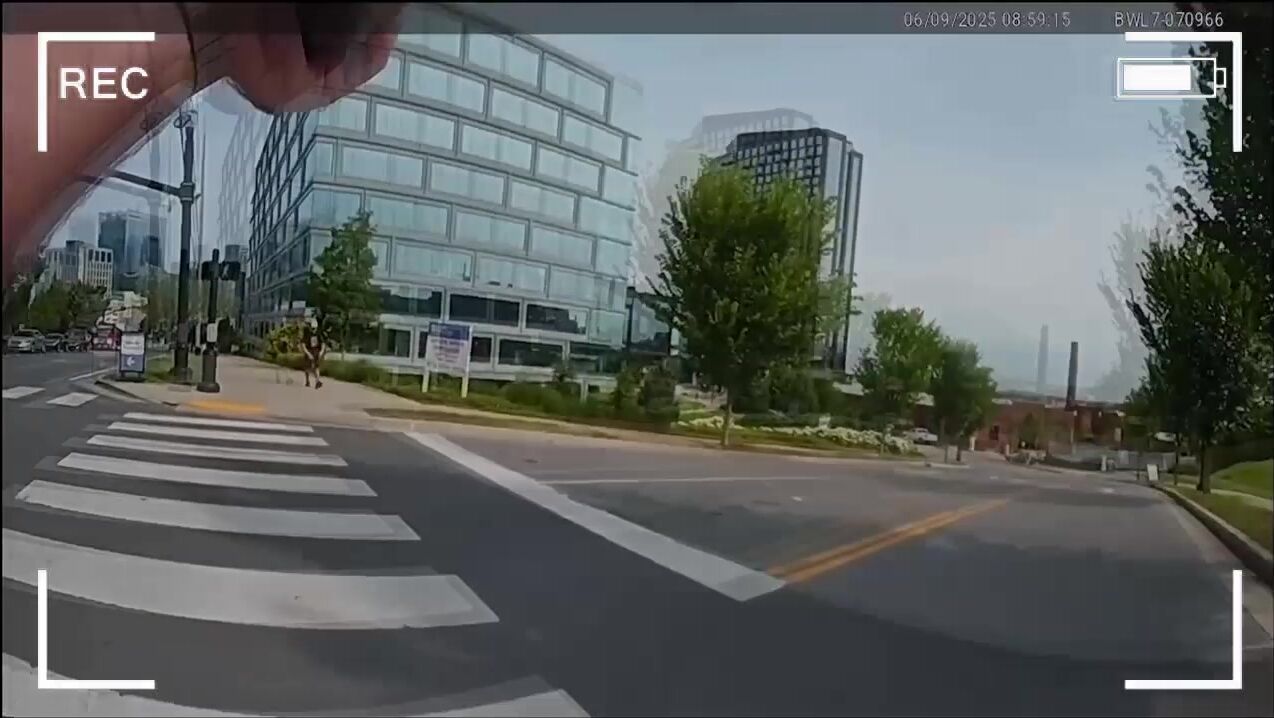 Don't mess with the police (compilation)
