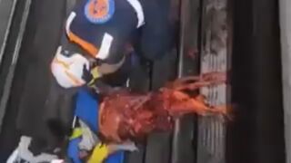 Person Jumped On Tracks In Mexico City Subway, What A Mess