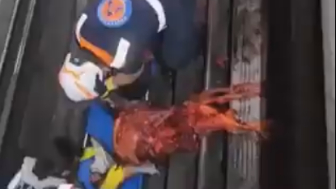Person Jumped On Tracks In Mexico City Subway, What A Mess