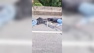 Seven Police Officers Killed In Traffic Crash In Honduras
