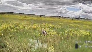 Just another one weekly casual compilation of droned ruzkies from Madyar Birds
