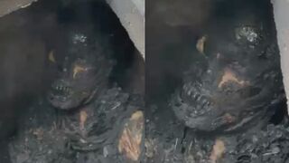 Buddy Fried Alive While Trying To Steal Copper Cables
