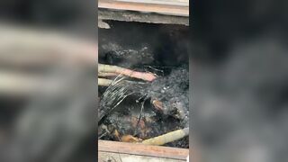 Buddy Fried Alive While Trying To Steal Copper Cables
